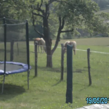 Apartment Blockhaus Familie Raidl